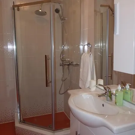 Ingerul Auriu Studio Брашов